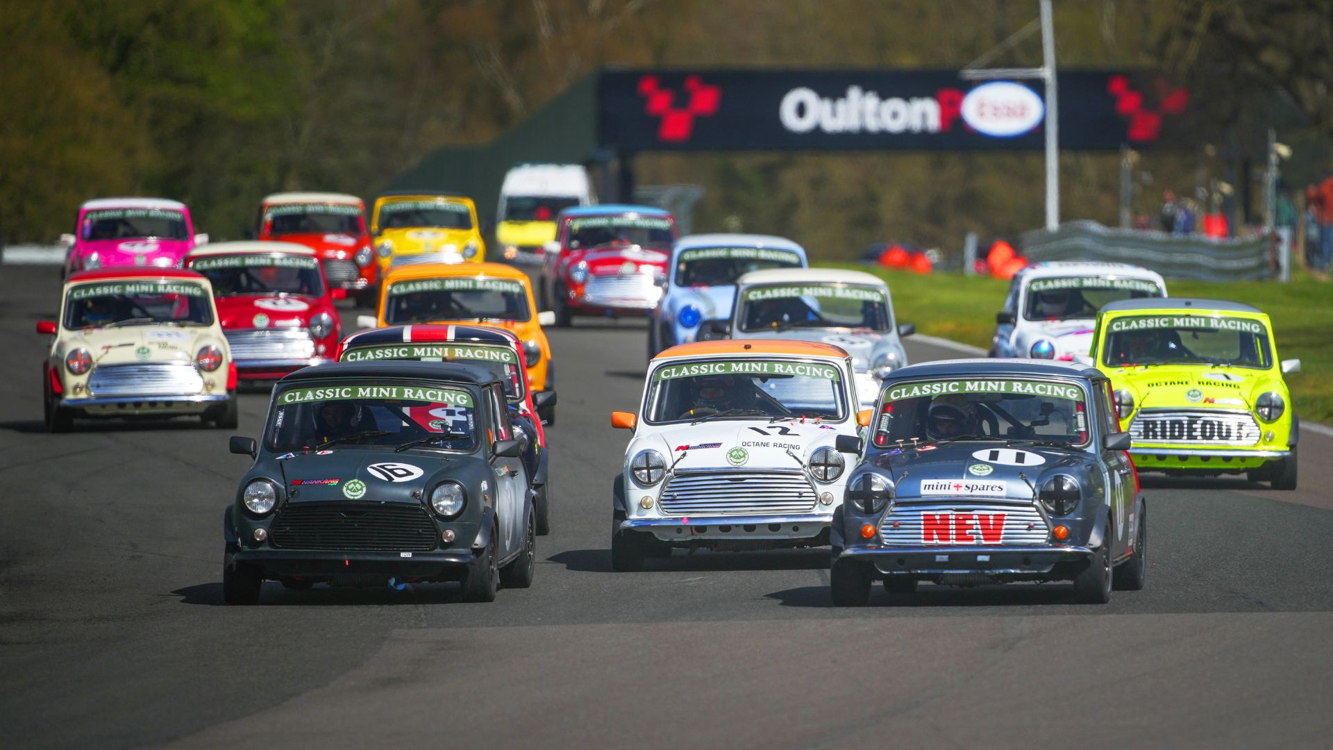 Colourful group of Classic Minis racing at Oulton Park for the Classic Mini Racing Championship